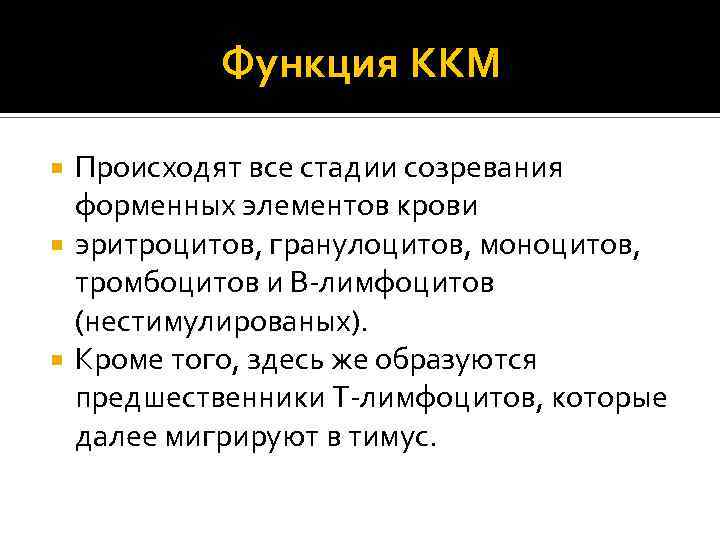 Функция ККМ Происходят все стадии созревания форменных элементов крови эритроцитов, гранулоцитов, моноцитов, тромбоцитов и