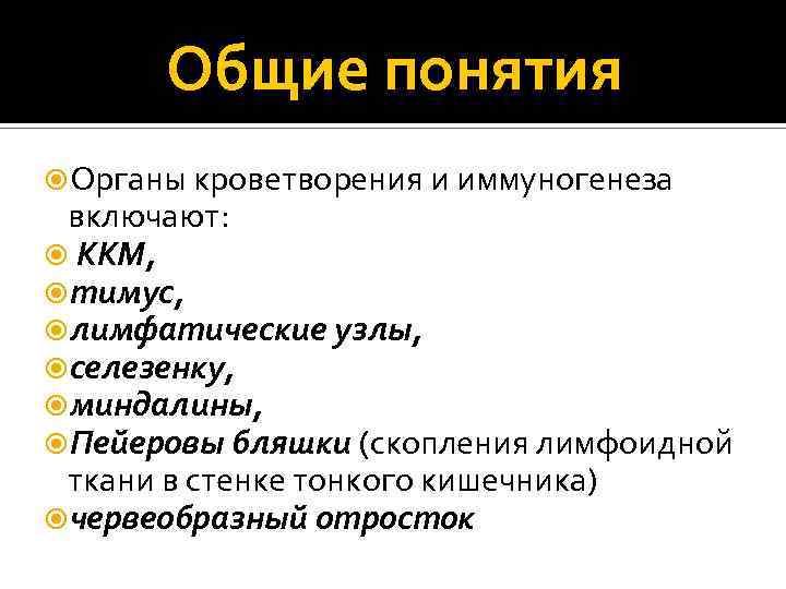 Общие понятия Органы кроветворения и иммуногенеза включают: ККМ, тимус, лимфатические узлы, селезенку, миндалины, Пейеровы