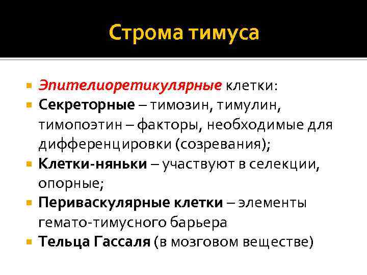 Строма. Строма тимуса. Эпителиоретикулярная Строма тимуса. Стромальные клетки тимуса. Стромальные элементы тимуса.