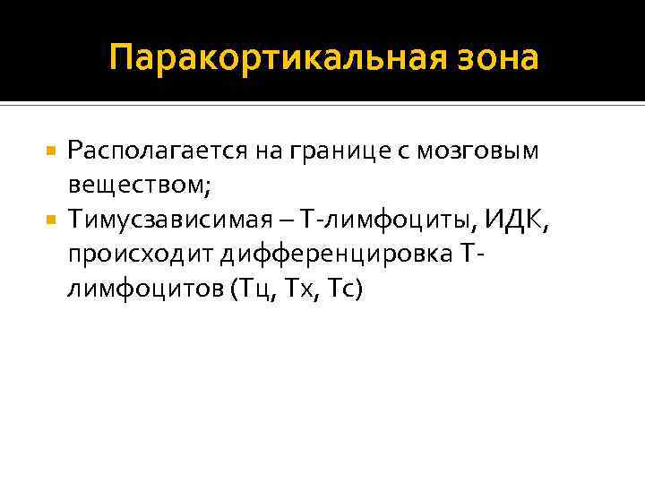 Паракортикальная зона Располагается на границе с мозговым веществом; Тимусзависимая – Т-лимфоциты, ИДК, происходит дифференцировка