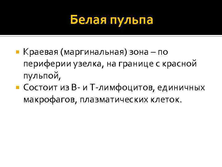 Белая пульпа Краевая (маргинальная) зона – по периферии узелка, на границе с красной пульпой,