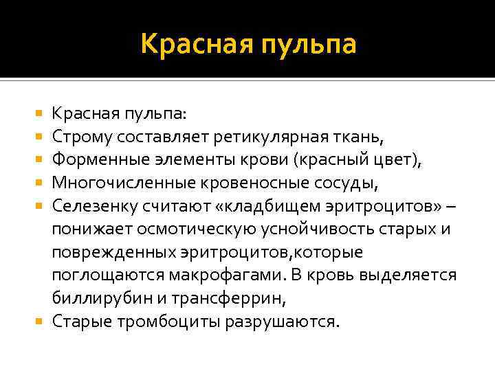 Красная пульпа: Строму составляет ретикулярная ткань, Форменные элементы крови (красный цвет), Многочисленные кровеносные сосуды,