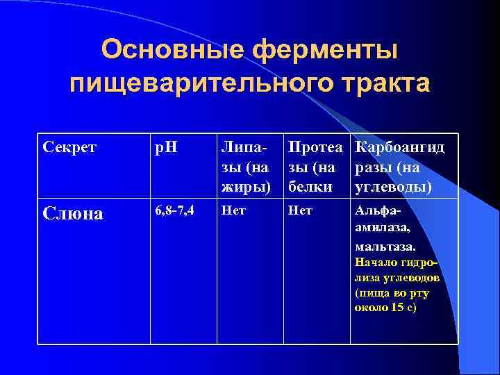 Основные ферменты пищеварительного тракта Секрет р. Н Липазы (на жиры) Протеа Карбоангид зы (на