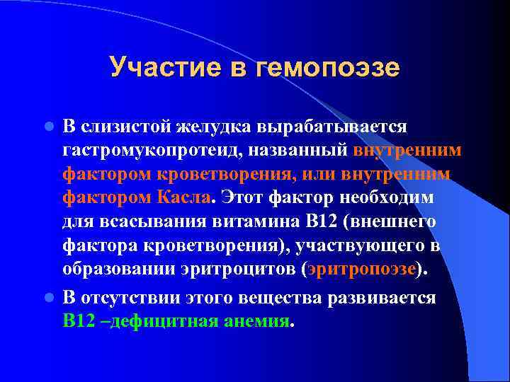 Участие в гемопоэзе В слизистой желудка вырабатывается гастромукопротеид, названный внутренним фактором кроветворения, или внутренним