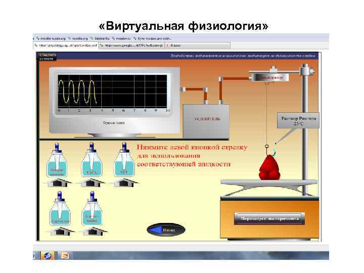  «Виртуальная физиология» 