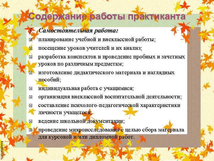 Содержание работы практиканта 3. Самостоятельная работа: планирование учебной и внеклассной работы; посещение уроков учителей