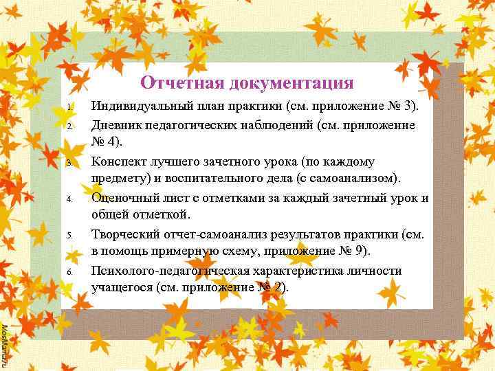 Отчетная документация 1. 2. 3. 4. 5. 6. Индивидуальный план практики (см. приложение №