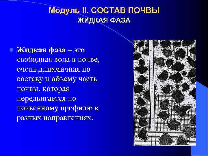 Жидкая фаза. Жидкая фаза почвы. Газообразная фаза почвы. Живая фаза почвы. Твердая и жидкая фазы почвы.