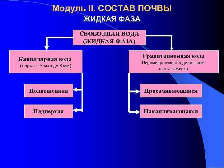 Модуль II. СОСТАВ ПОЧВЫ ЖИДКАЯ ФАЗА СВОБОДНАЯ ВОДА (ЖИДКАЯ ФАЗА) Капиллярная вода (поры от