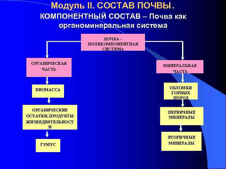 Модуль II. СОСТАВ ПОЧВЫ. КОМПОНЕНТНЫЙ СОСТАВ – Почва как органоминеральная система ПОЧВА – ПОЛИКОМПОНЕНТНАЯ