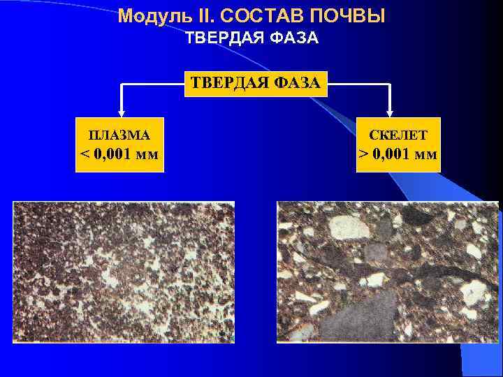 Модуль II. СОСТАВ ПОЧВЫ ТВЕРДАЯ ФАЗА ПЛАЗМА СКЕЛЕТ < 0, 001 мм > 0,