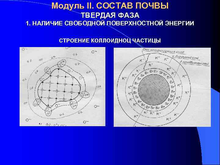 Модуль II. СОСТАВ ПОЧВЫ ТВЕРДАЯ ФАЗА 1. НАЛИЧИЕ СВОБОДНОЙ ПОВЕРХНОСТНОЙ ЭНЕРГИИ СТРОЕНИЕ КОЛЛОИДНОЦ ЧАСТИЦЫ