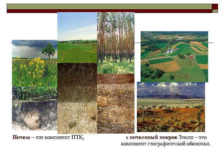 Почвы – это компонент ПТК, а почвенный покров Земли – это компонент географической оболочки.