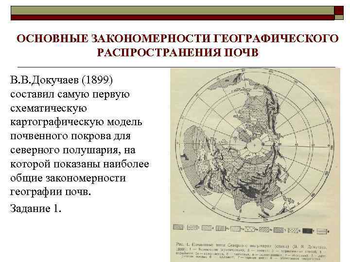 Основоположником первой схемы почвенных зон северного полушария стал