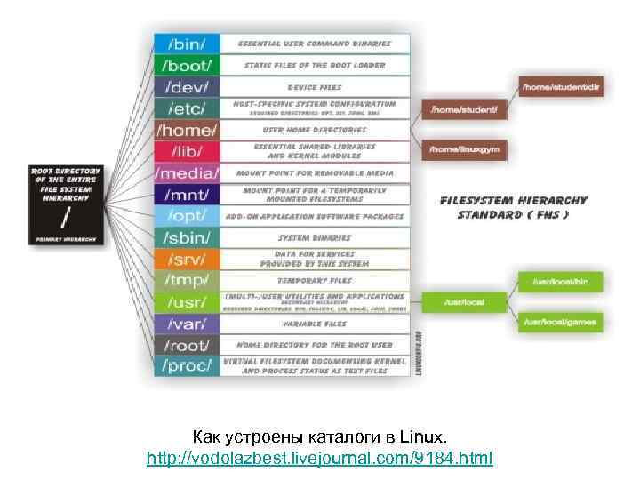 Как устроены каталоги в Linux. http: //vodolazbest. livejournal. com/9184. html 