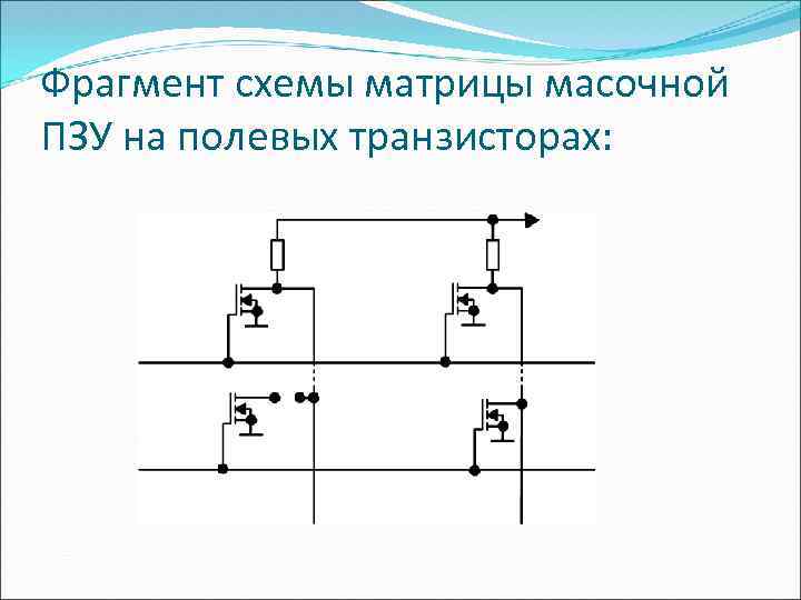 Фрагмент схемы матрицы масочной ПЗУ на полевых транзисторах: 