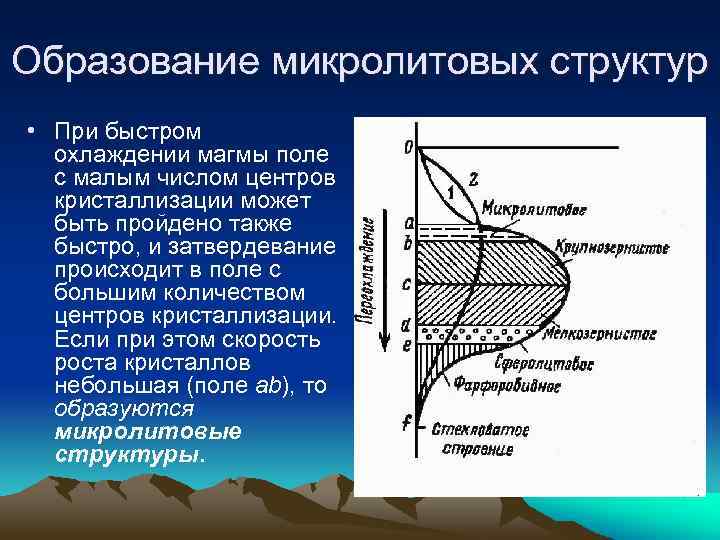 Образование микролитовых структур • При быстром охлаждении магмы поле с малым числом центров кристаллизации