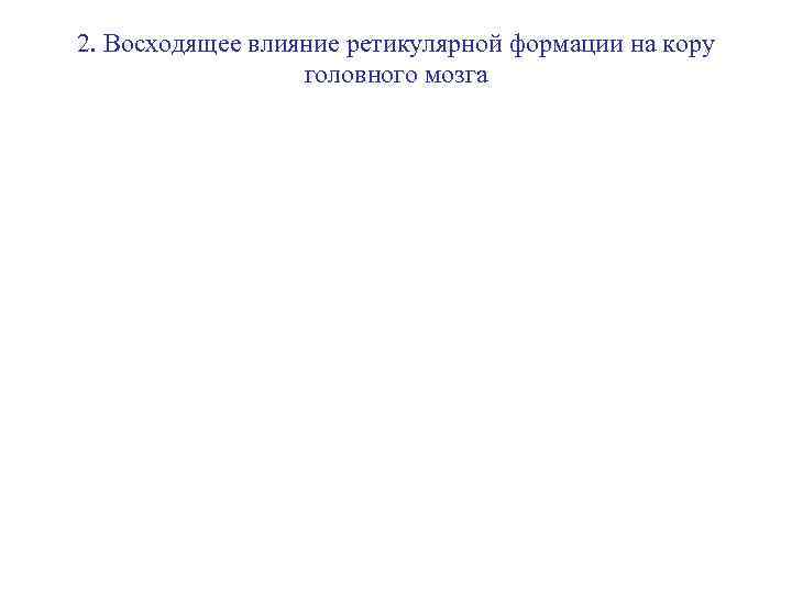 2. Восходящее влияние ретикулярной формации на кору головного мозга 