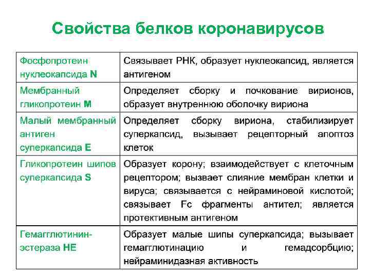 Свойства белков коронавирусов 