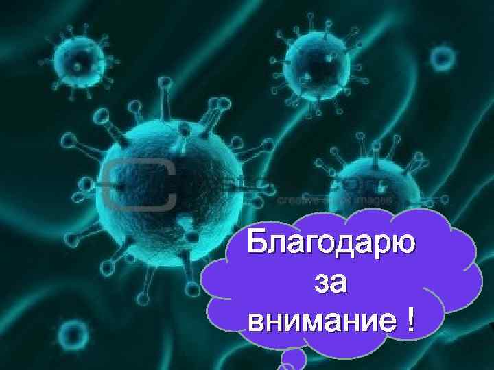 Благодарю за внимание ! 