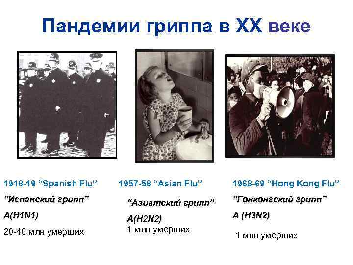 Пандемии гриппа в XX веке 1918 -19 “Spanish Flu” 1957 -58 “Asian Flu” 1968