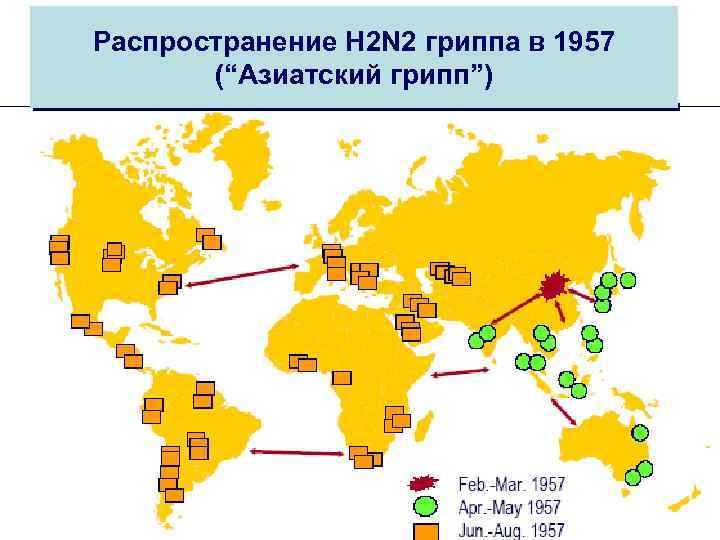 Распространение H 2 N 2 гриппа в 1957 (“Азиатский грипп”) 
