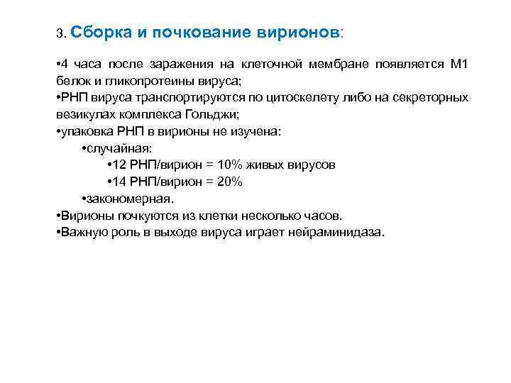 3. Сборка и почкование вирионов: • 4 часа после заражения на клеточной мембране появляется