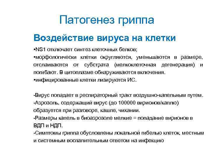 Патогенез гриппа Воздействие вируса на клетки • NS 1 отключает синтез клеточных белков; •