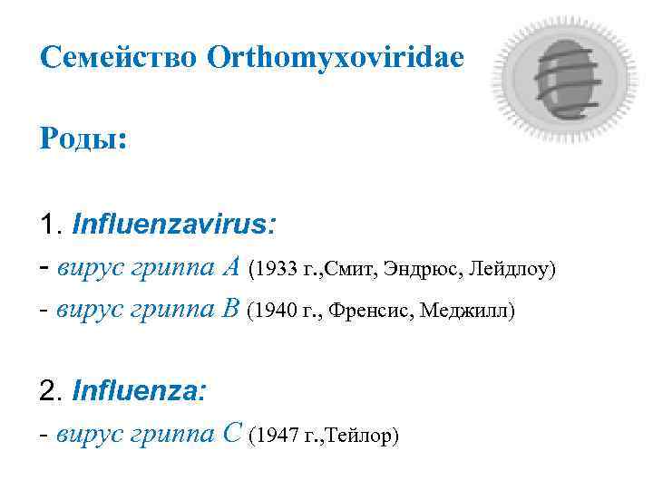 Семейство Orthomyxoviridae Роды: 1. Influenzavirus: - вирус гриппа A (1933 г. , Смит, Эндрюс,