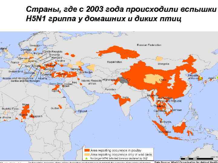 Страны, где с 2003 года происходили вспышки H 5 N 1 гриппа у домашних