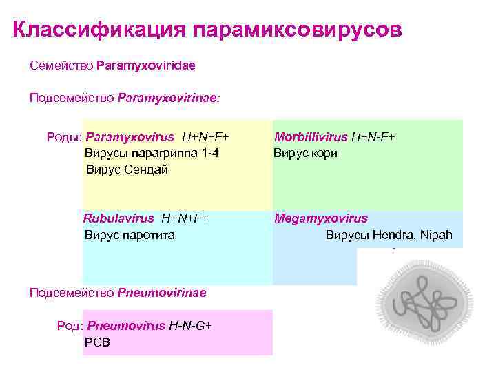 Ортомиксовирусы микробиология презентация