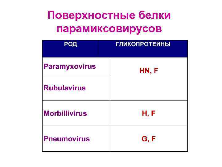 Поверхностные белки парамиксовирусов 