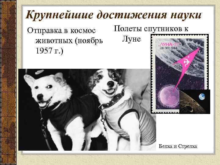 Крупнейшие достижения науки Отправка в космос животных (ноябрь 1957 г. ) Полеты спутников к