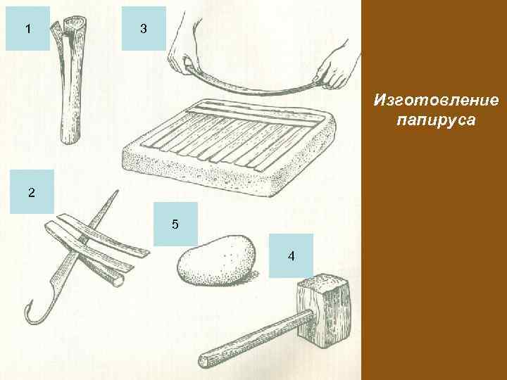 1 3 Изготовление папируса 2 5 4 