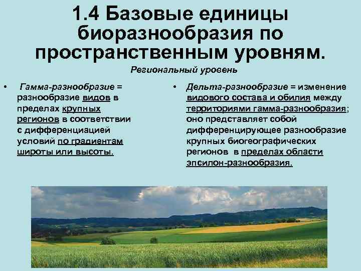 Уровни видового разнообразия. Дифференцируемые многообразия. Дельта разнообразие это. Инвентаризационное и дифференцирующее разнообразие. Структура и уровни биоразнообразия.