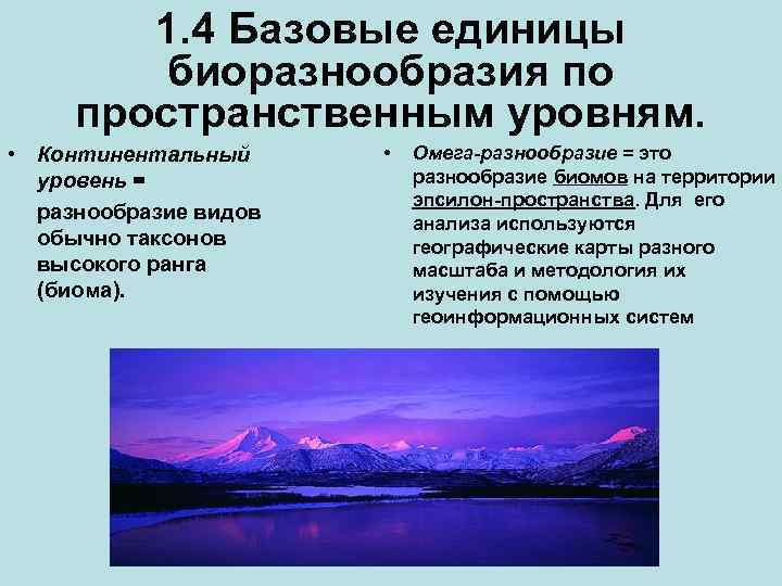 1. 4 Базовые единицы биоразнообразия по пространственным уровням. • Континентальный уровень = разнообразие видов