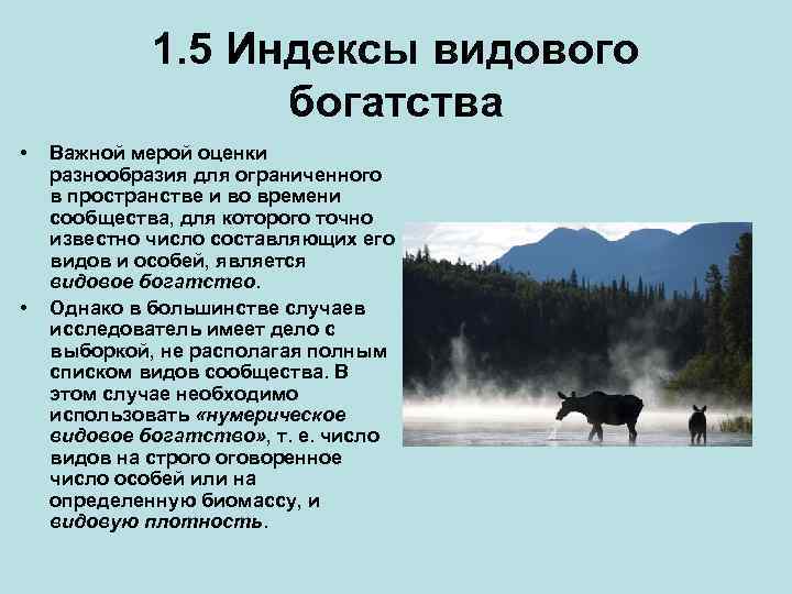 1. 5 Индексы видового богатства • • Важной мерой оценки разнообразия для ограниченного в