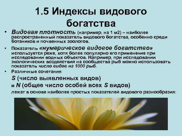 1. 5 Индексы видового богатства • Видовая плотность (например, на 1 м 2) –