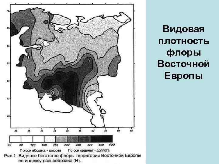 Видовая плотность флоры Восточной Европы 