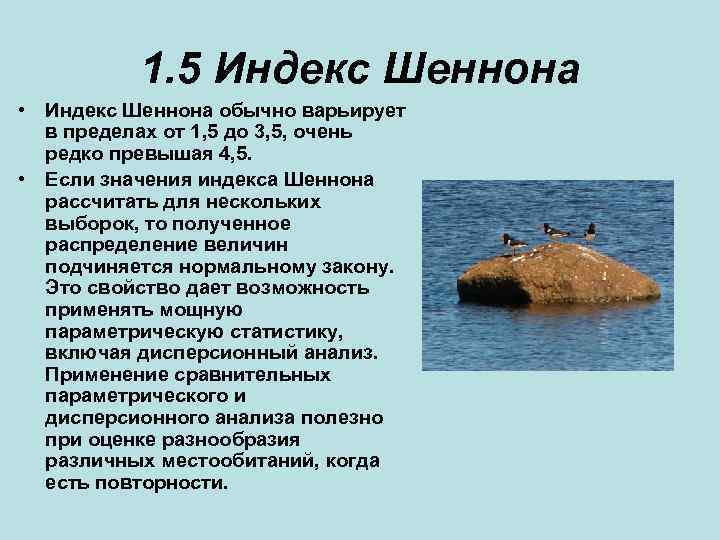 1. 5 Индекс Шеннона • Индекс Шеннона обычно варьирует в пределах от 1, 5