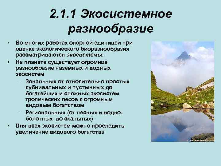 Экосистемное разнообразие и деятельность человека 7 класс презентация