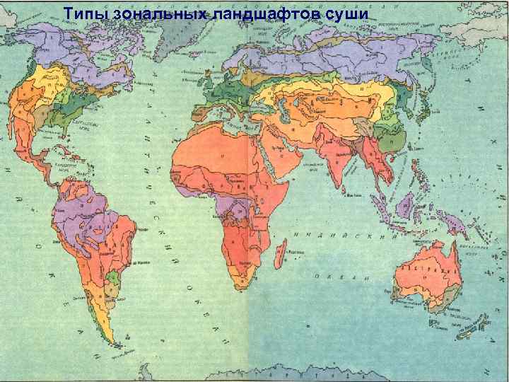 Типы ландшафтов. Зональные ландшафты. Типы ландшафтов карта. Гумидные и аридные зоны. Типы ландшафтов земли.