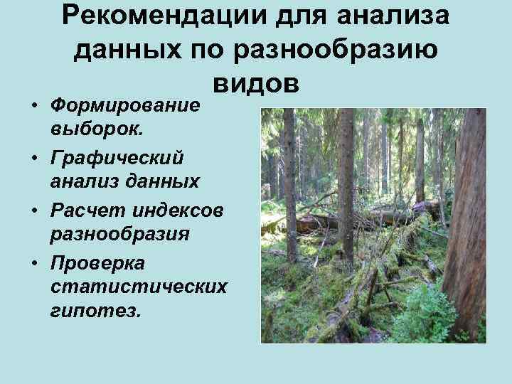 Рекомендации для анализа данных по разнообразию видов • Формирование выборок. • Графический анализ данных