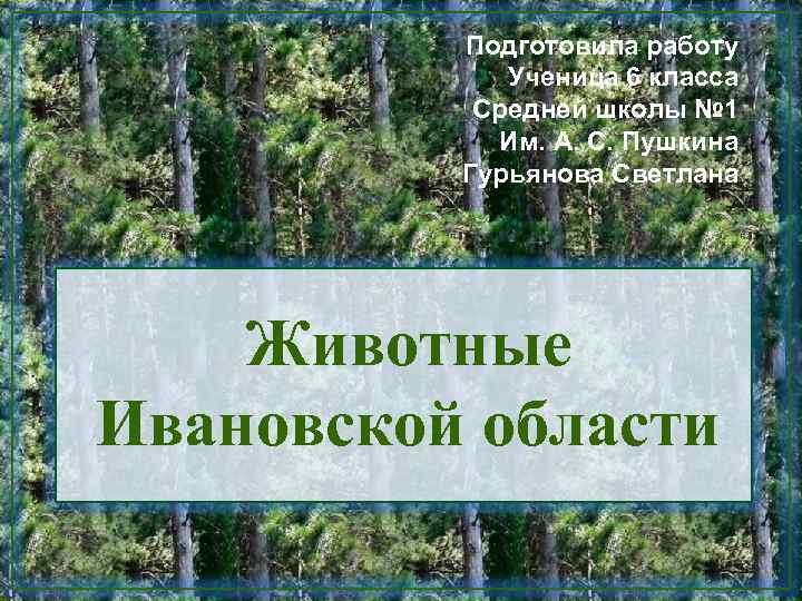 Подготовила работу Ученица 6 класса Средней школы № 1 Им. А. С. Пушкина Гурьянова
