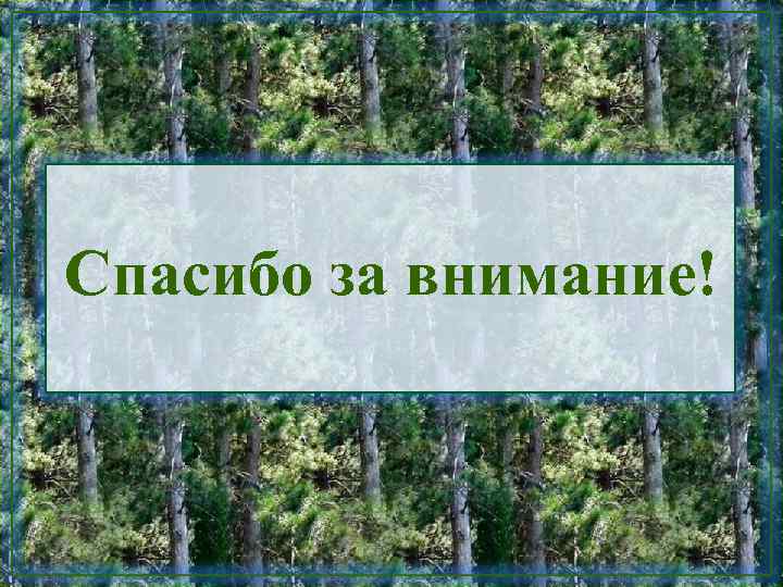 Спасибо за внимание! 