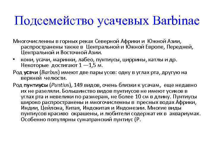 Подсемейство усачевых Barbinae Многочисленны в горных реках Северной Африки и Южной Азии, распространены также