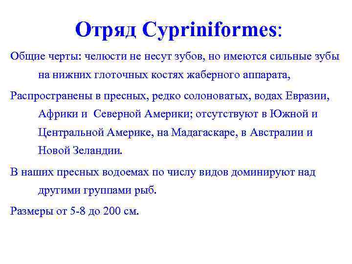 Oтряд Cypriniformes: Общие черты: челюсти не несут зубов, но имеются сильные зубы на нижних