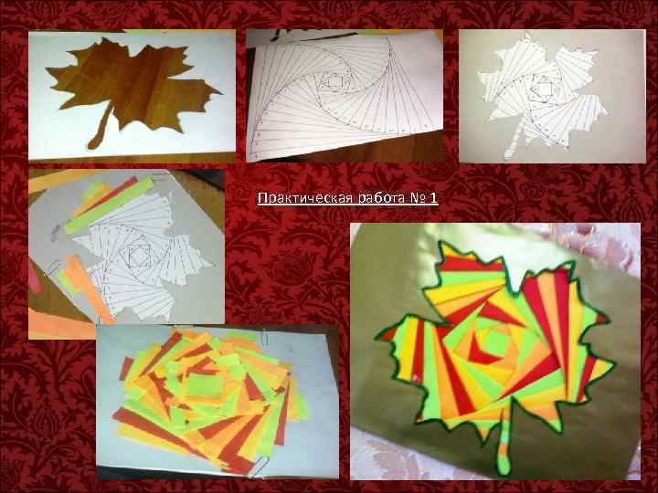 Практическая работа № 1 