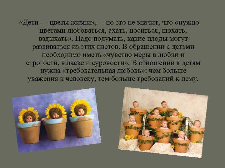  «Дети — цветы жизни» , — но это не значит, что «нужно цветами