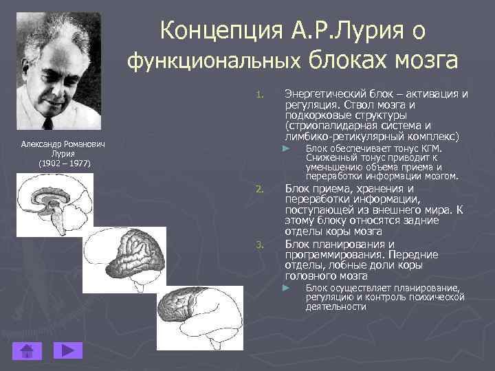 Презентация александр романович лурия